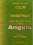 Knowing the Angels (Muhammad al Jibaly)