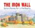 Quran Stories for Little Hearts - The Iron Wall (Saniyasnain Khan)