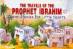 Quran Stories for Little Hearts - The Travels of the Prophet Ibrahim (Saniyasnain Khan)