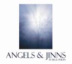 Angels & Jinns 2 Audio CDs (Bilal Philips)